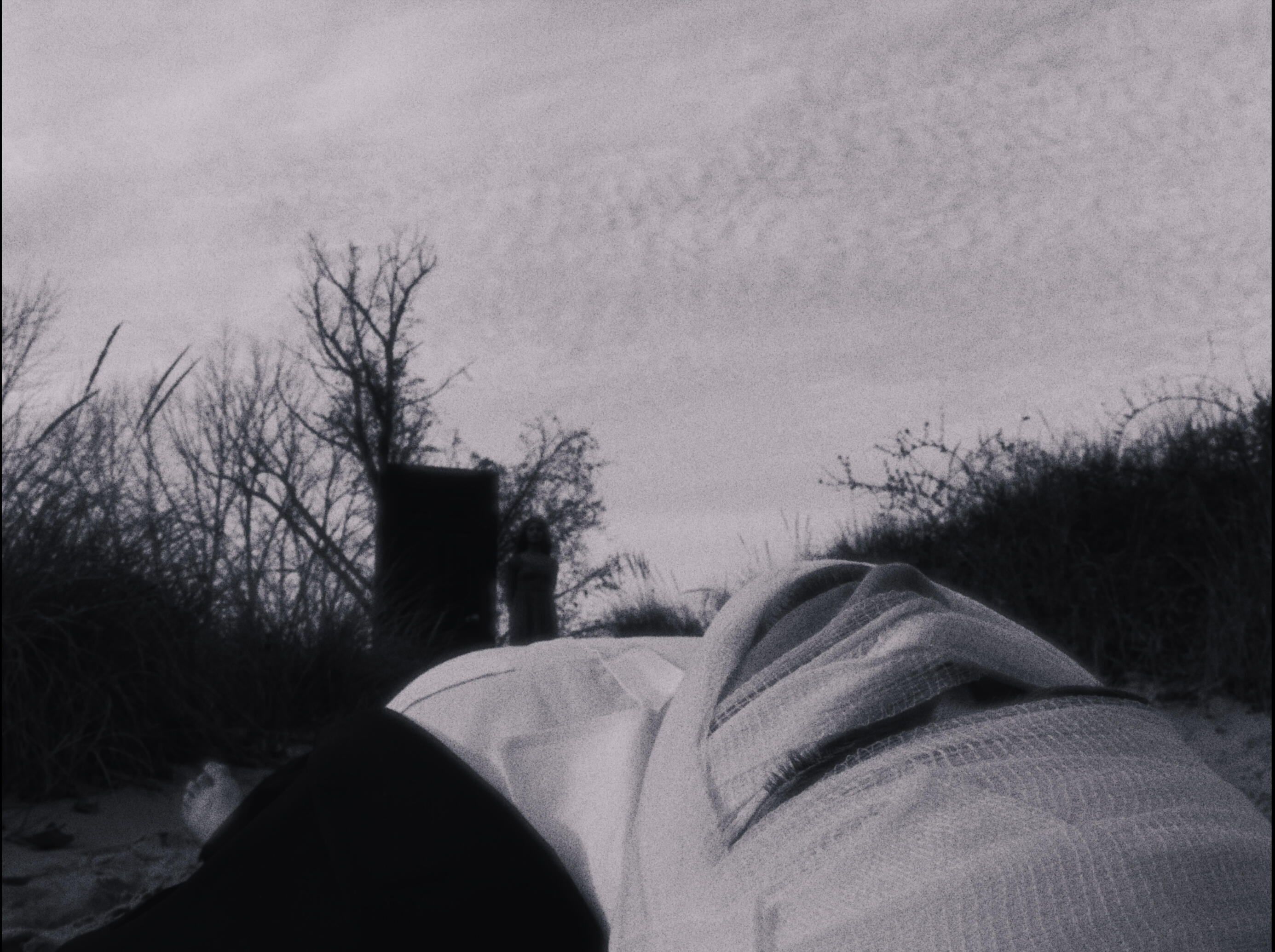 Untitled Untitled