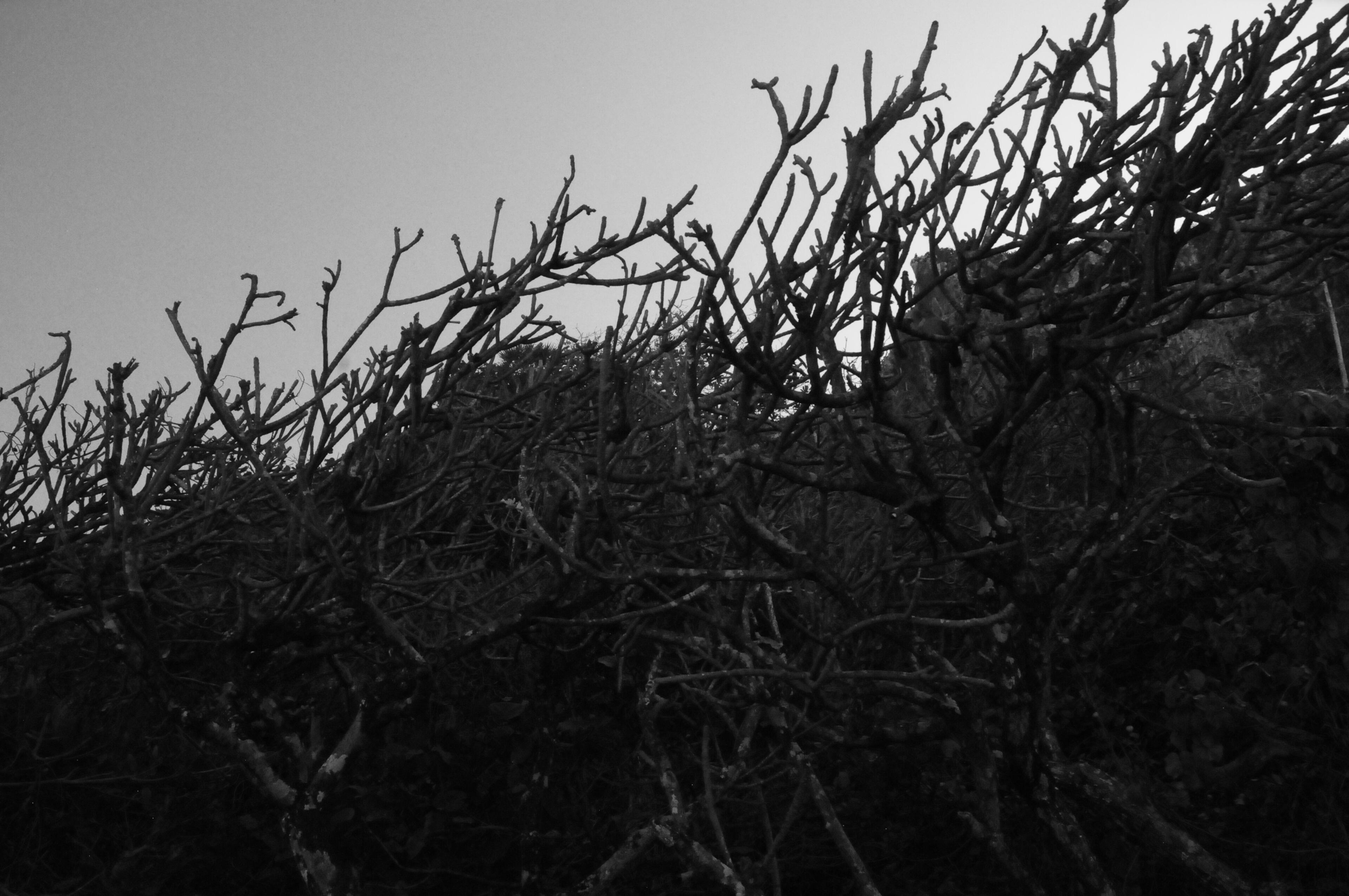 Untitled Untitled