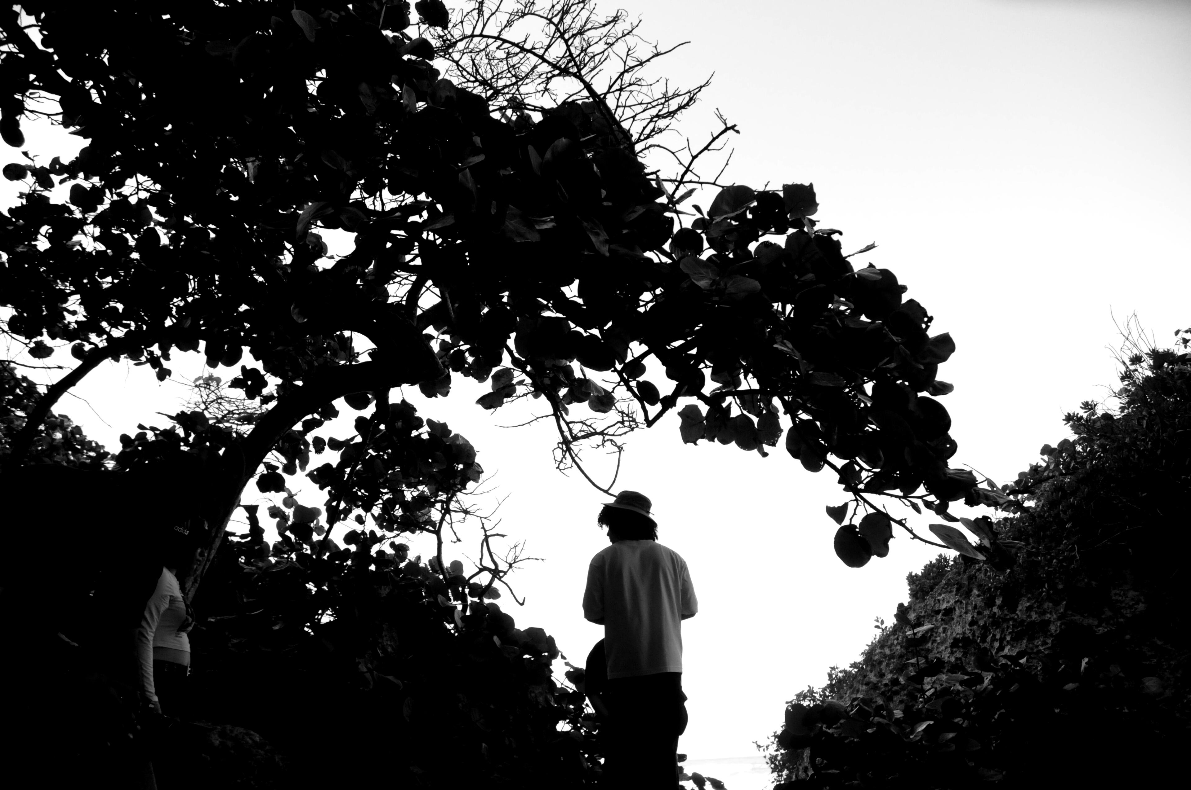 Untitled