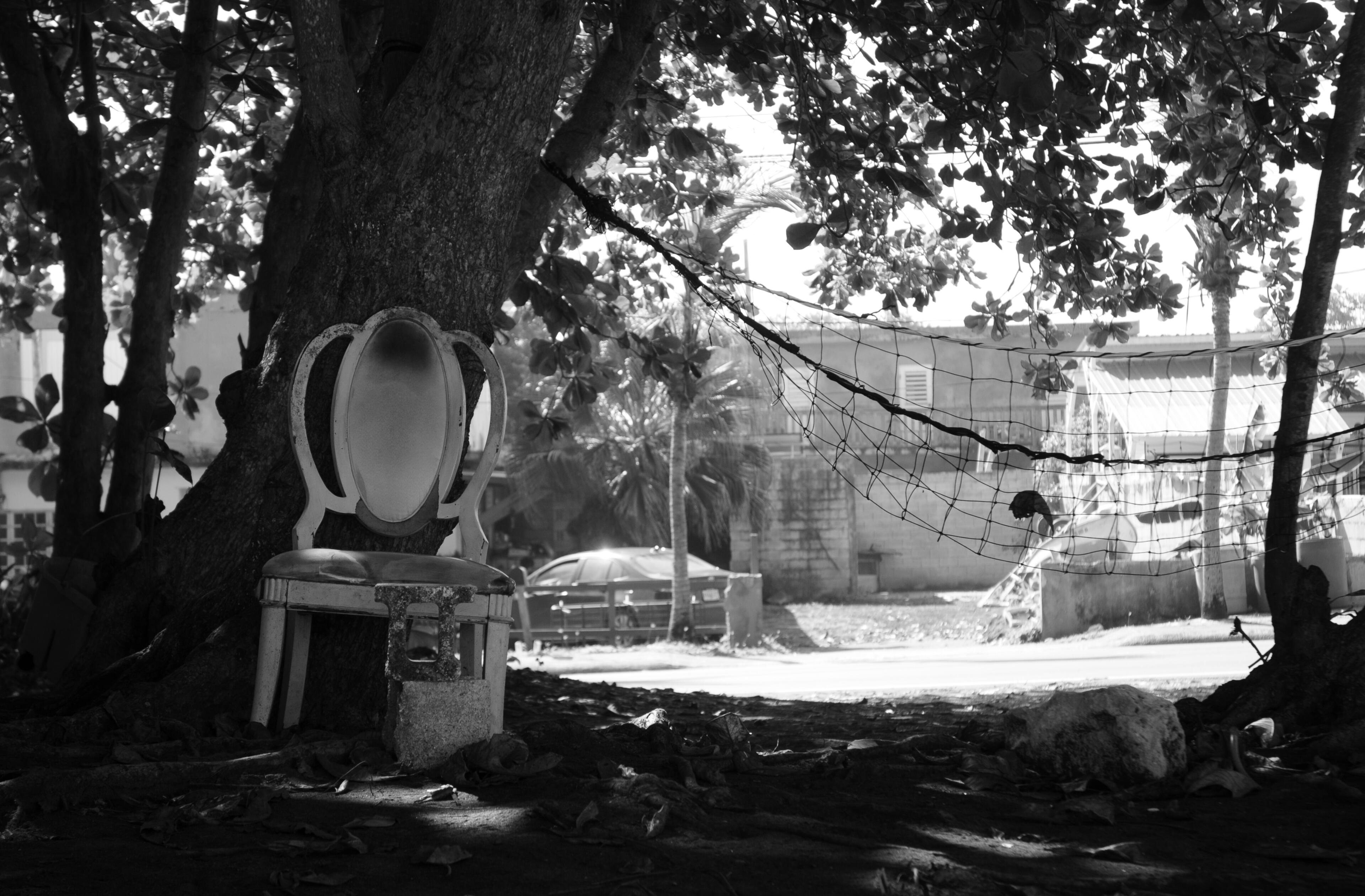 Untitled Untitled